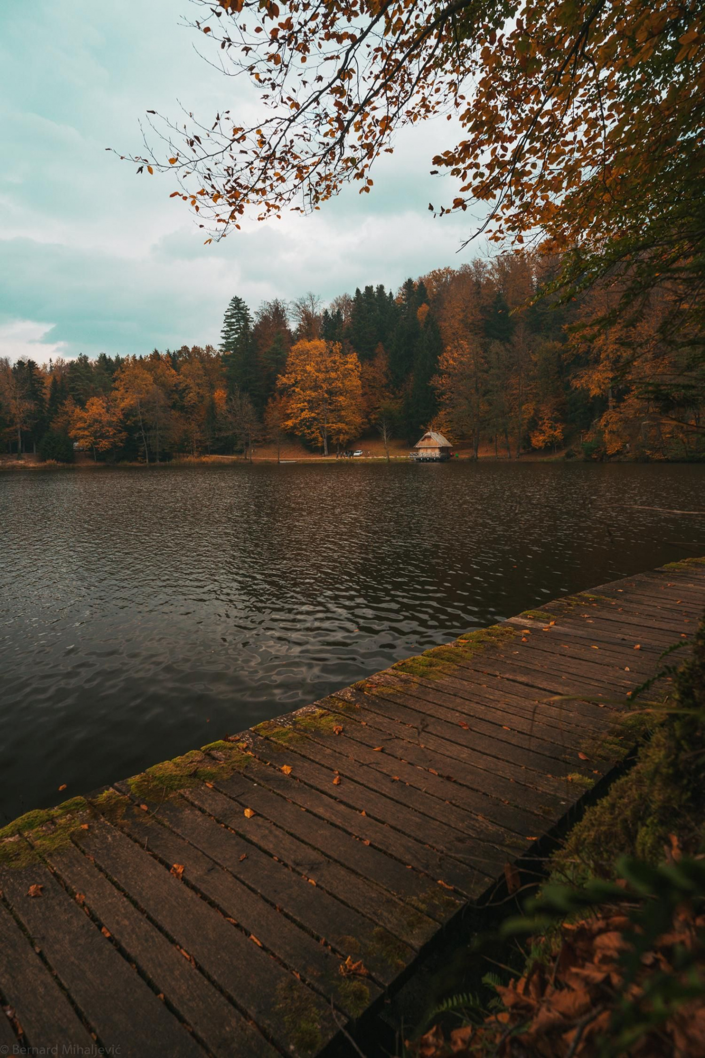 A lake in northern Croatia in November  Autumn scenery, Nature