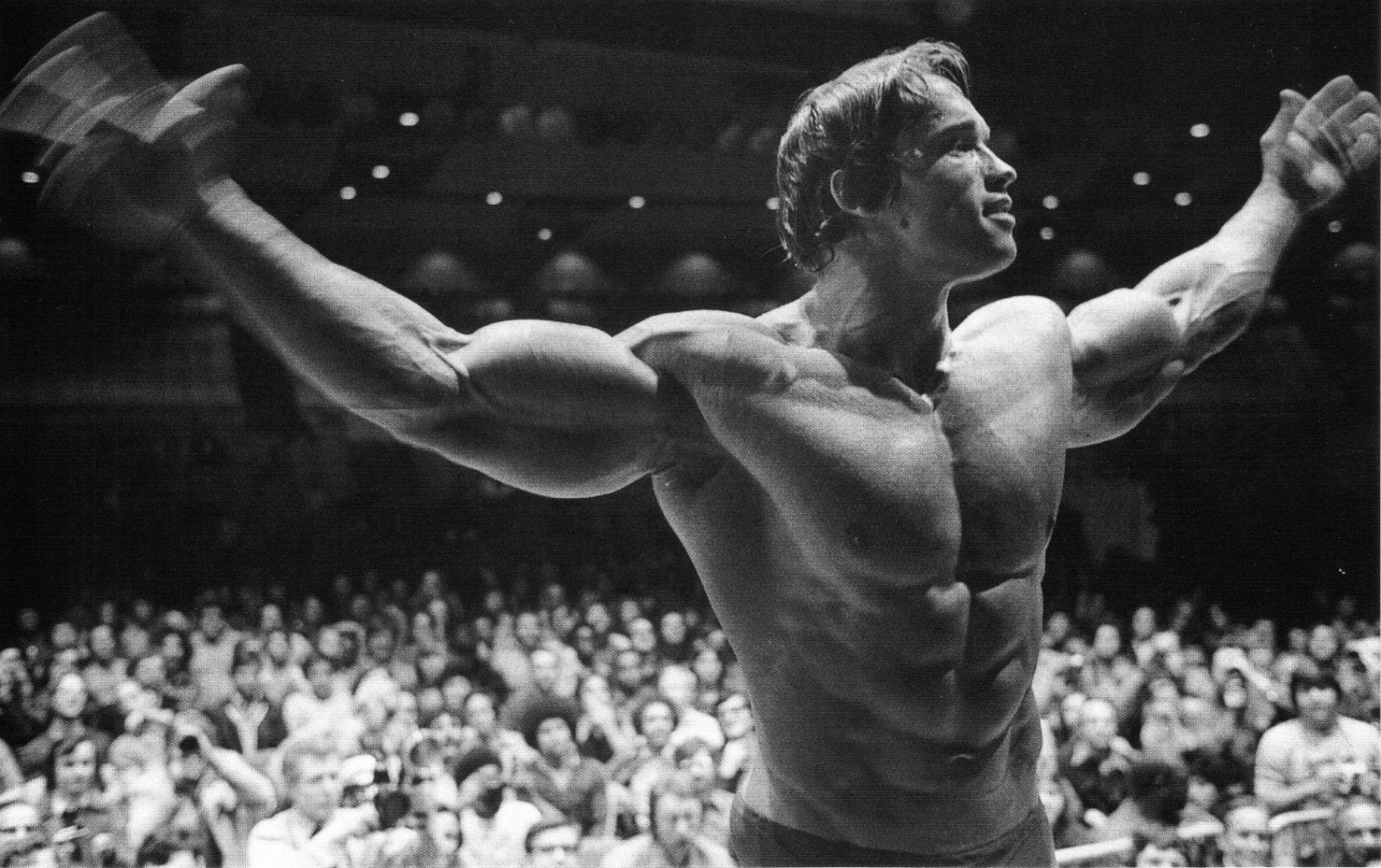 +] Arnold Schwarzenegger Wallpapers  Wallpapers