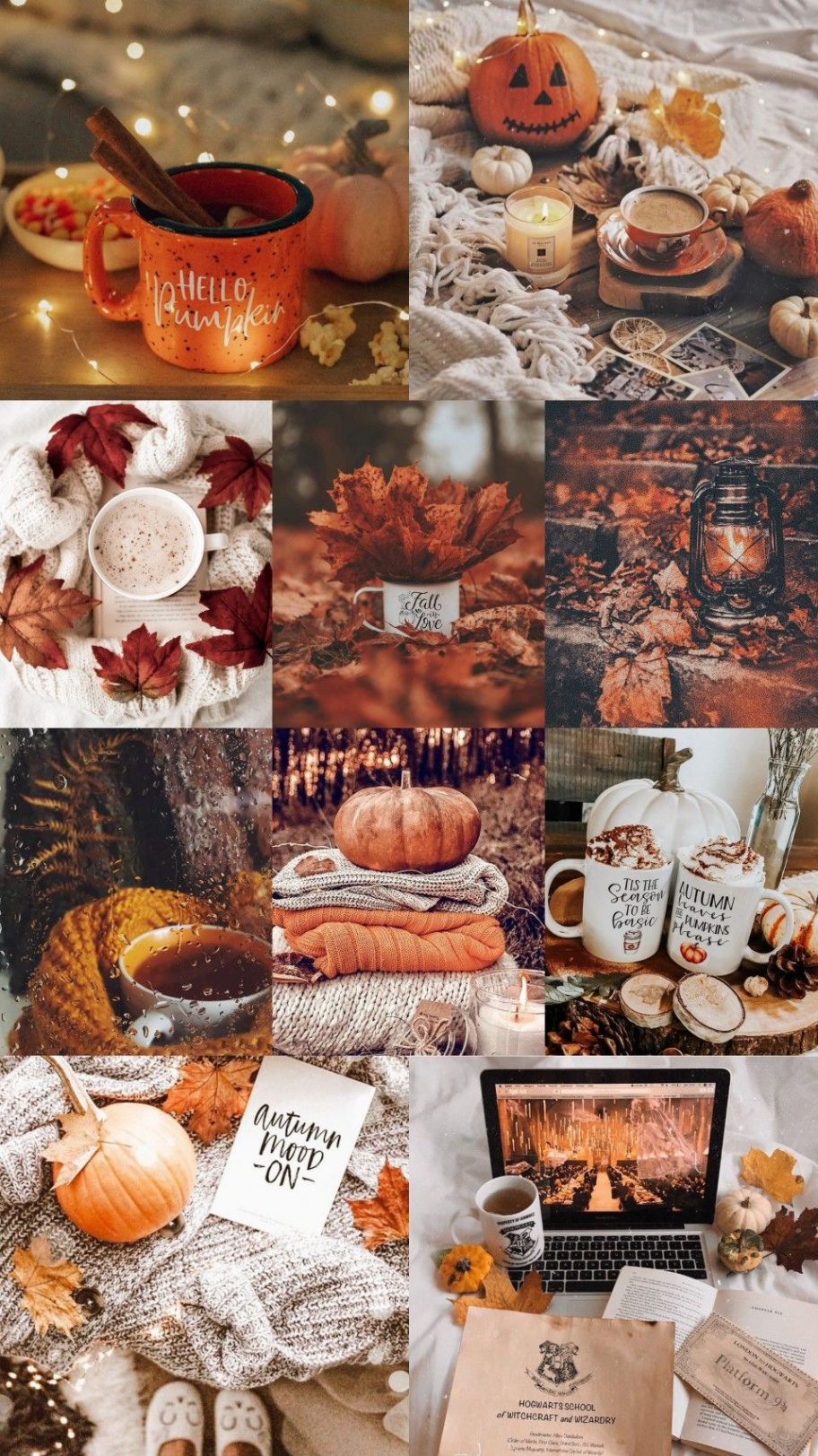 Autumn wallpaper  Pumpkin wallpaper, Thanksgiving wallpaper, Fall