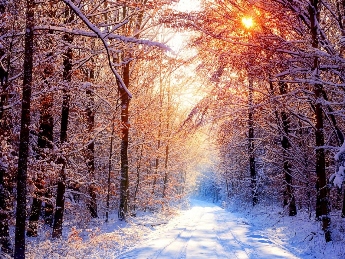 Beautiful Winter Wallpapers For Your Desktop, Vol   Winter