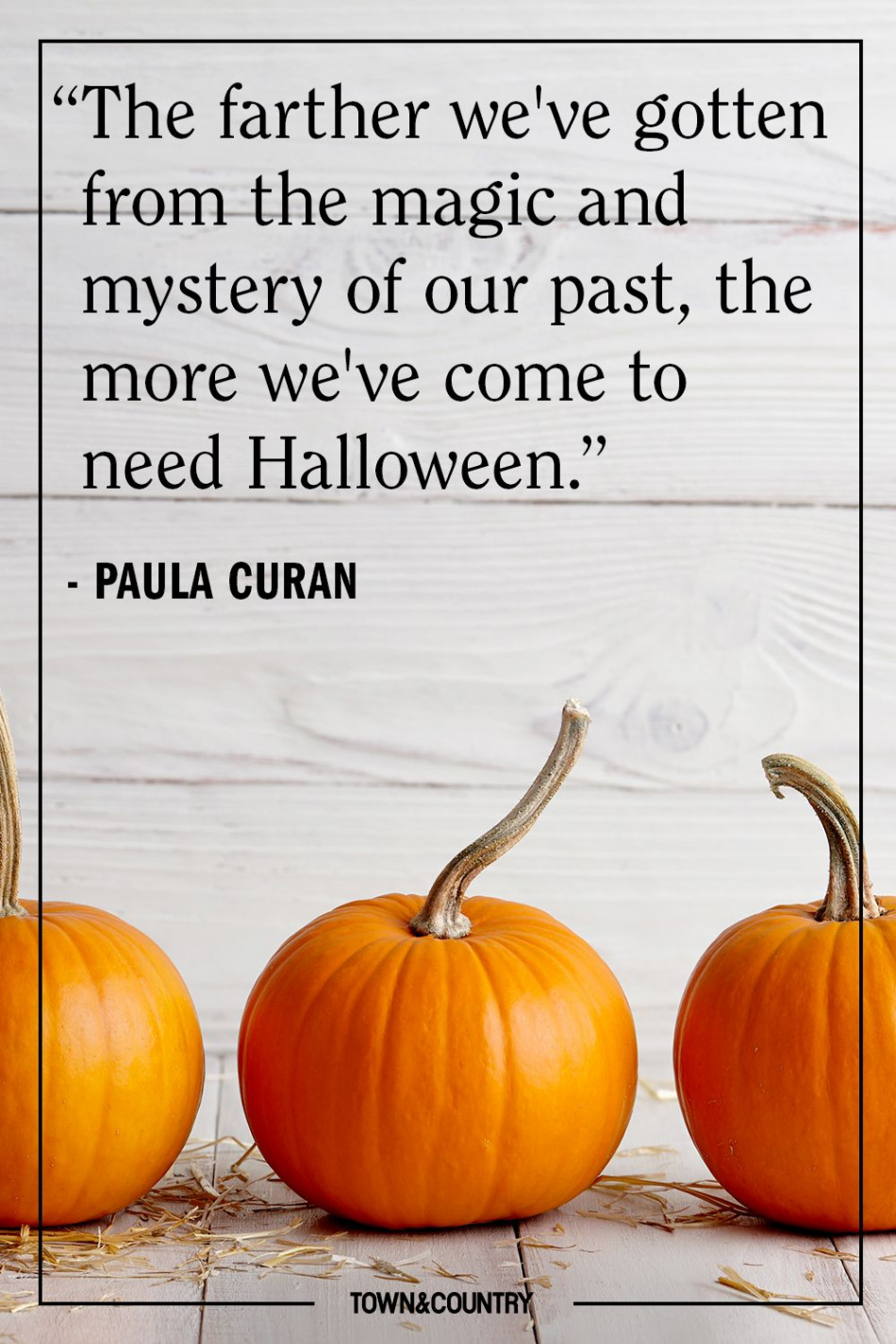 Best Halloween Quotes  - Spooky Sayings to Wish a Happy