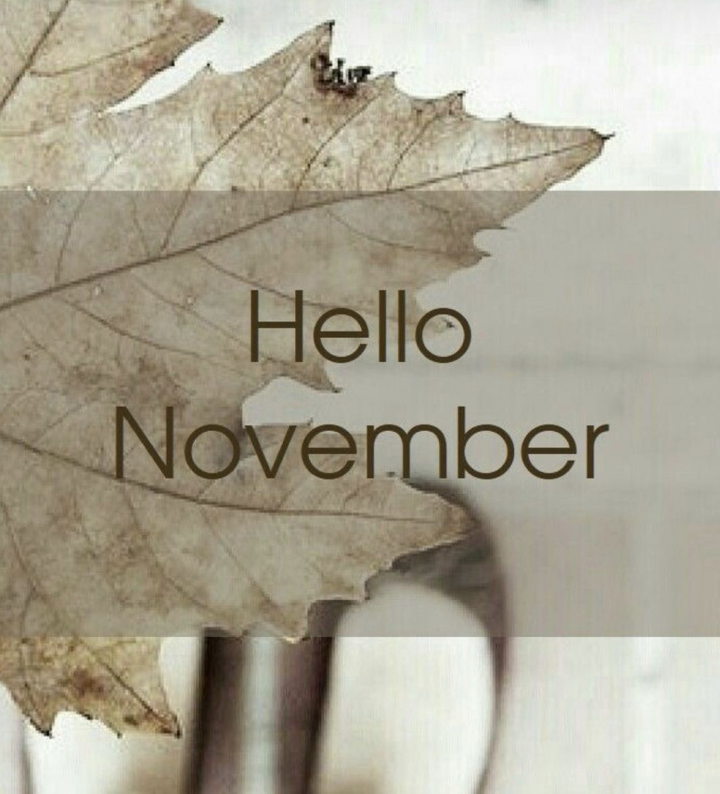 Best Hello November • ideas in   hello november, november