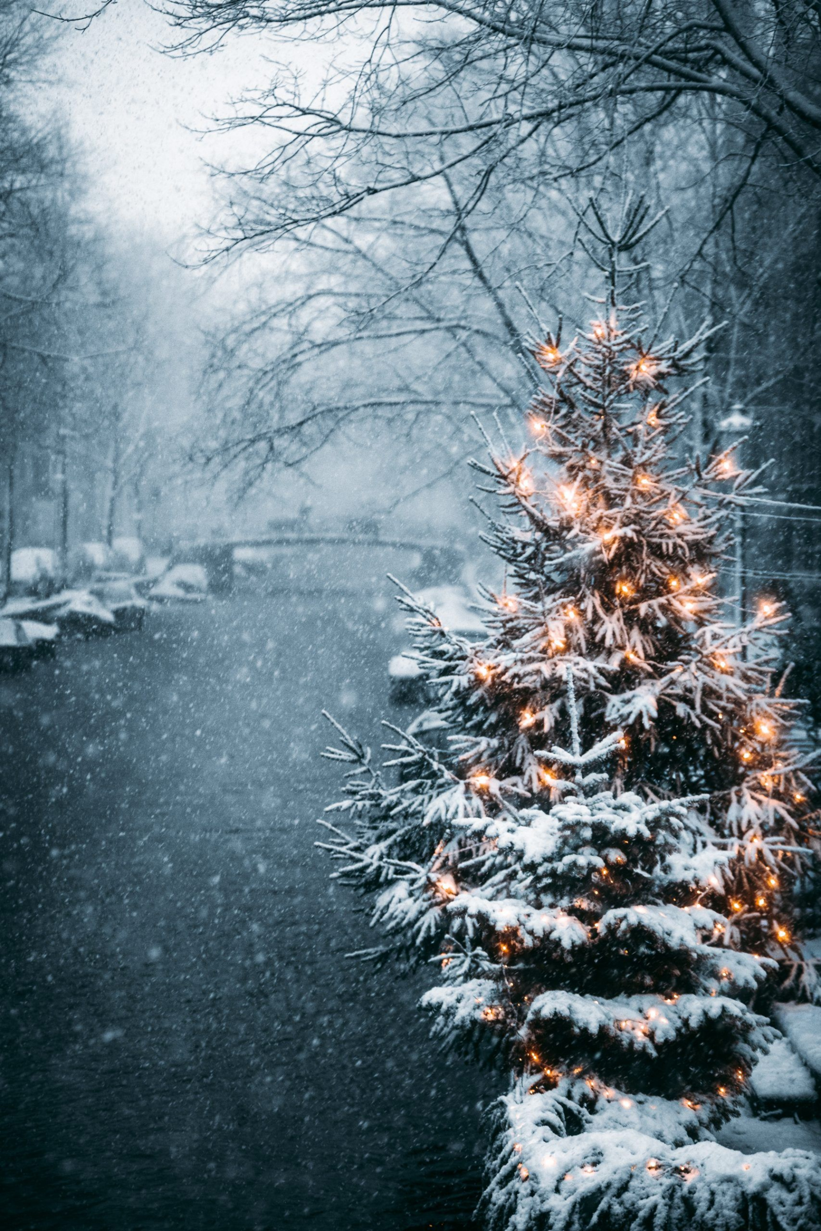 + Cute Christmas Aesthetic Wallpaper For Your Iphone! All in HD