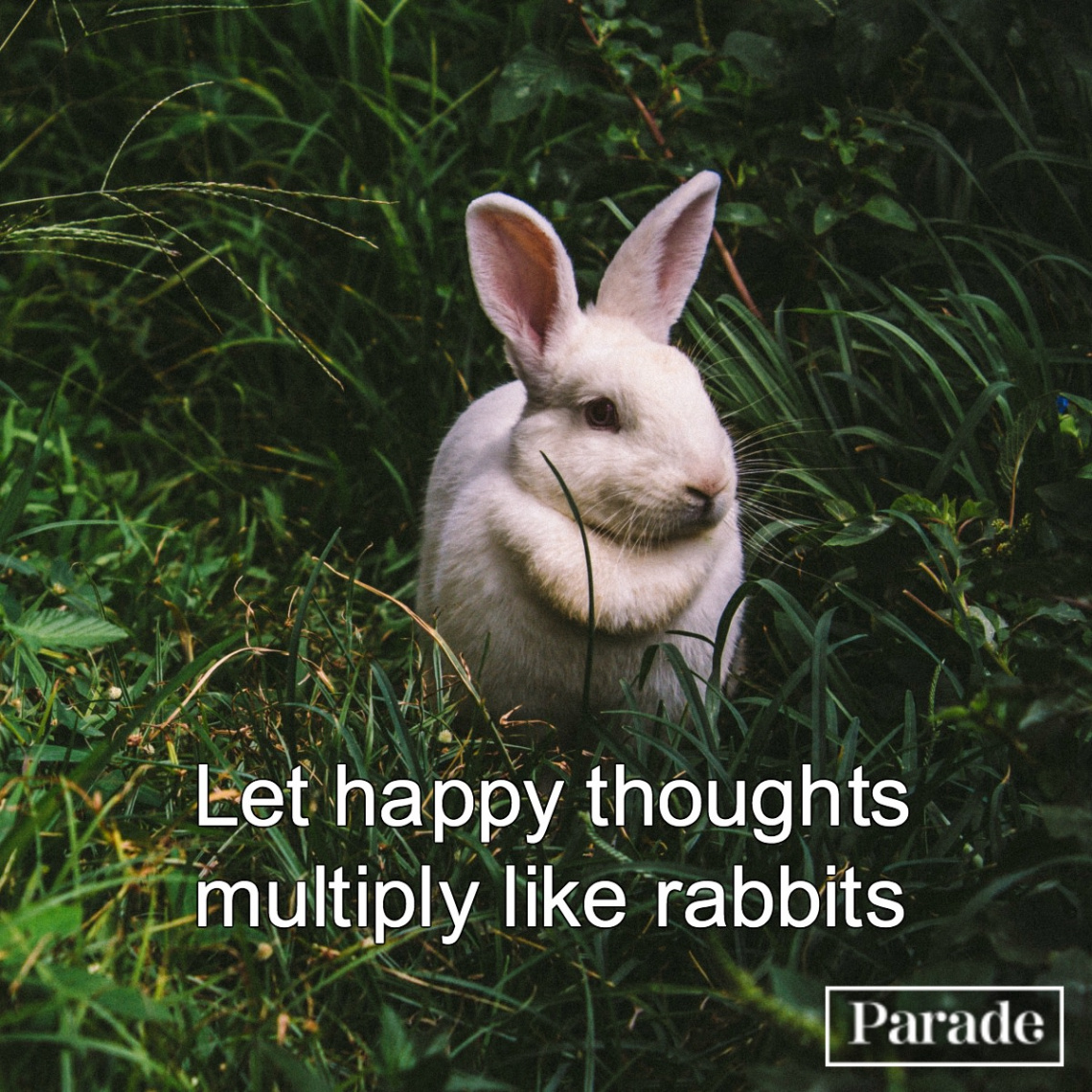 Cute Easter Instagram Captions - Parade