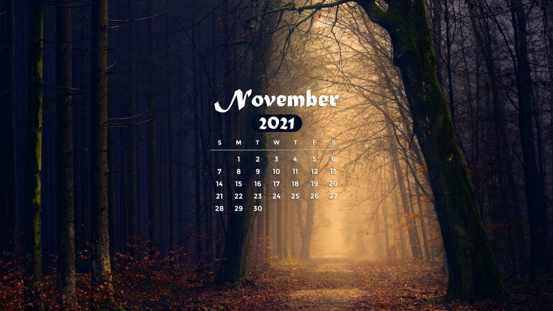 Download November  Calendar Gloomy Forest Wallpaper