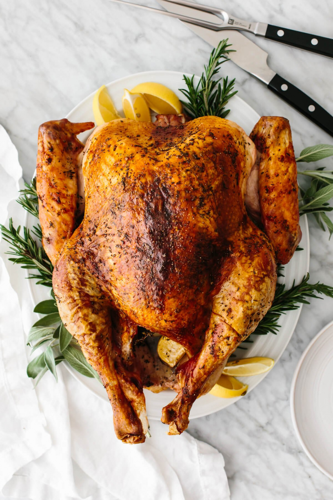 Easy Thanksgiving Turkey (Best No-Fail Recipe)