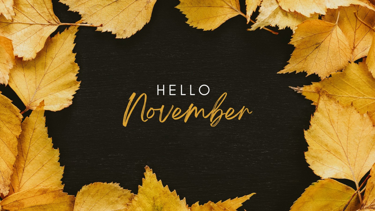 Free and customizable november templates