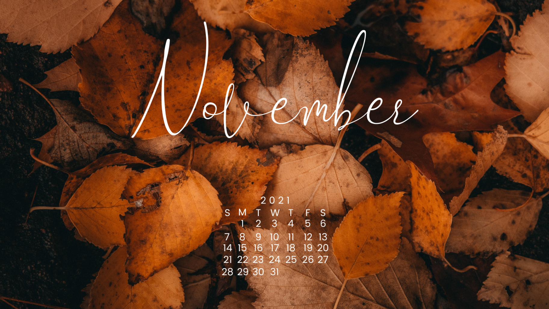 Free Desktop Backgrounds November  - A Dash of Kam