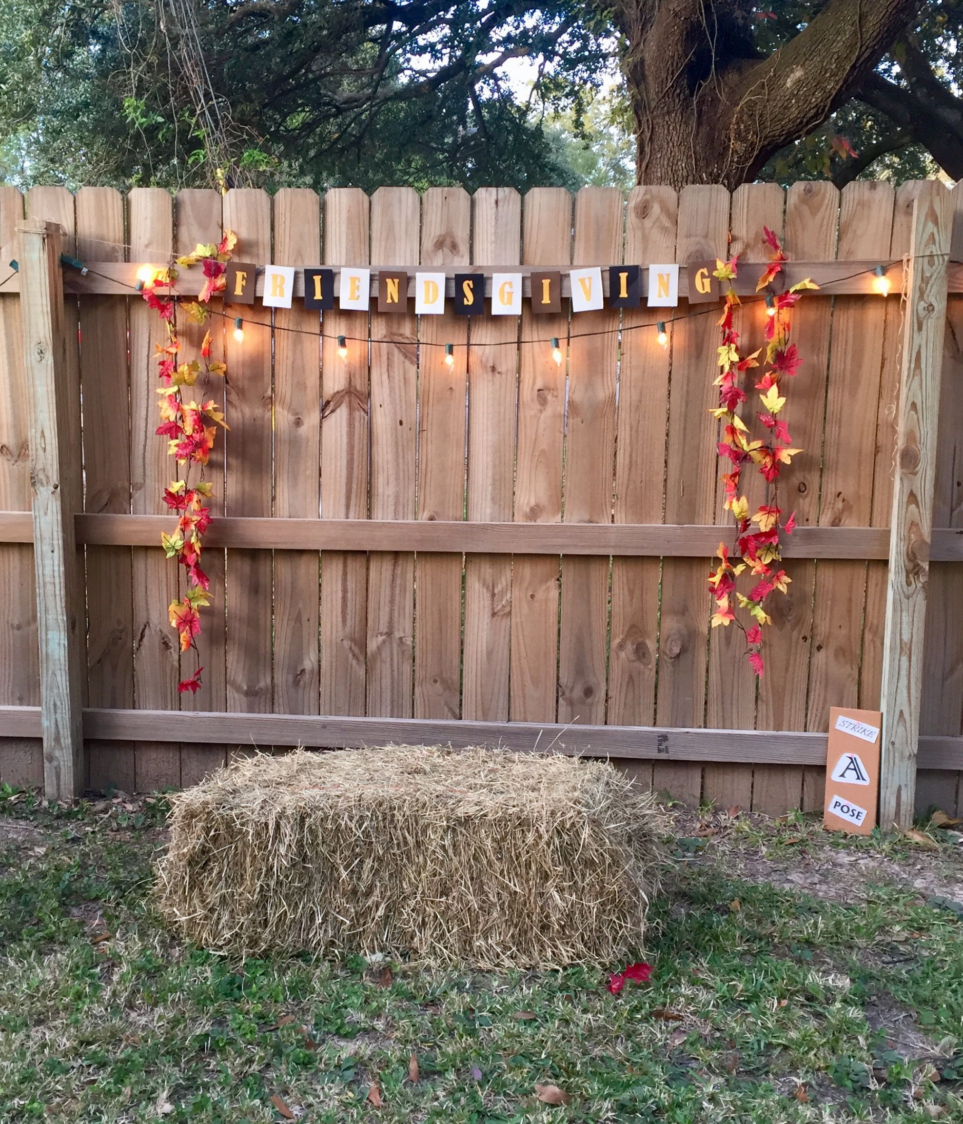 Friendsgiving photo backdrop  Friendsgiving decorations