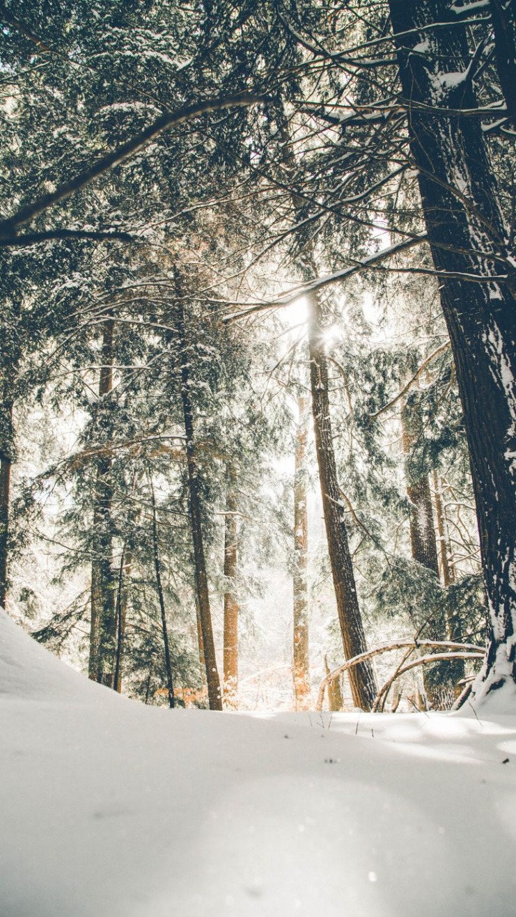 + Gorgeous Free Winter Wallpapers For IPhone ()