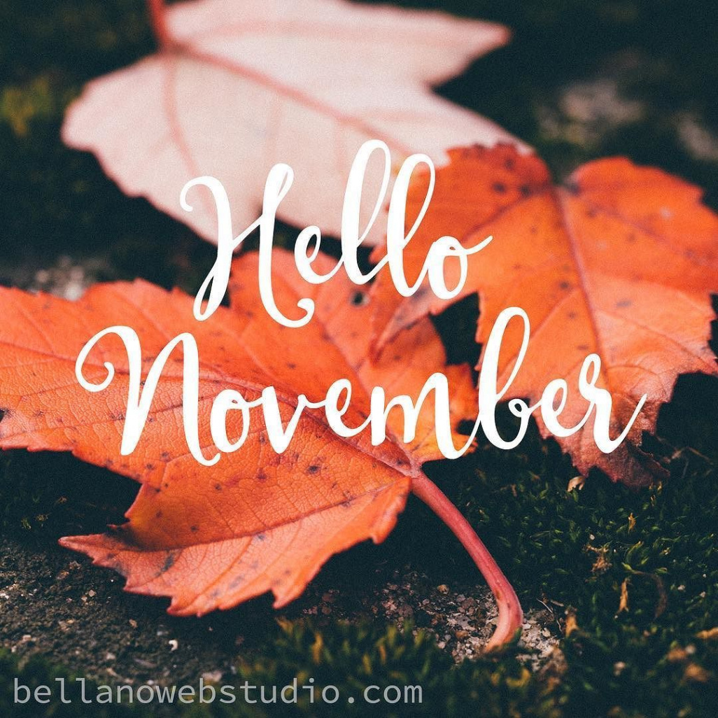 Hallo november