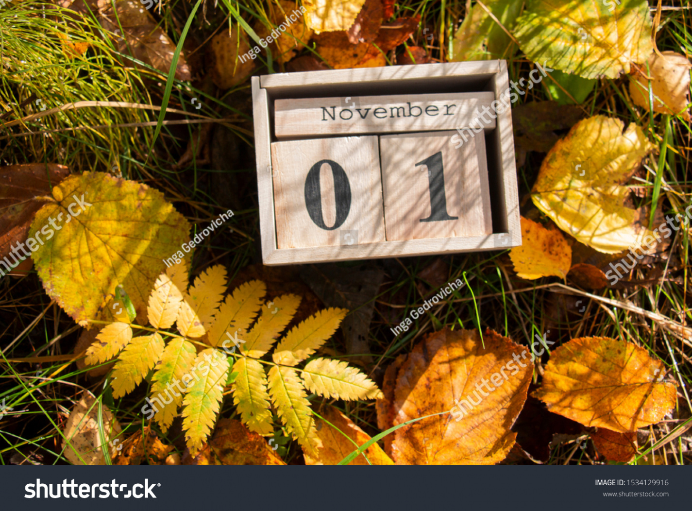 Hello Autumn November  Number On Stock Photo 5342996