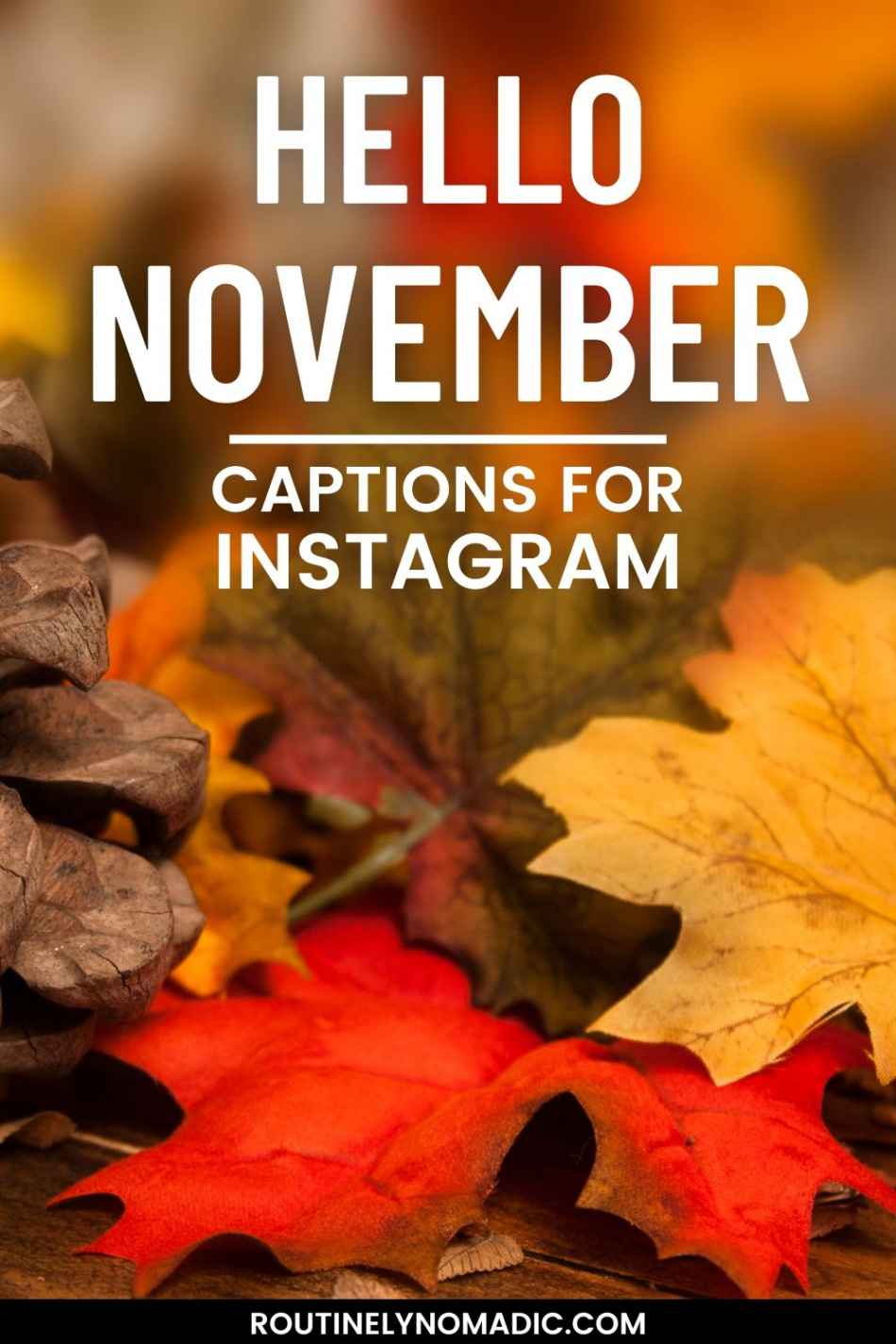 Hello November Captions for Instagram in   Instagram captions