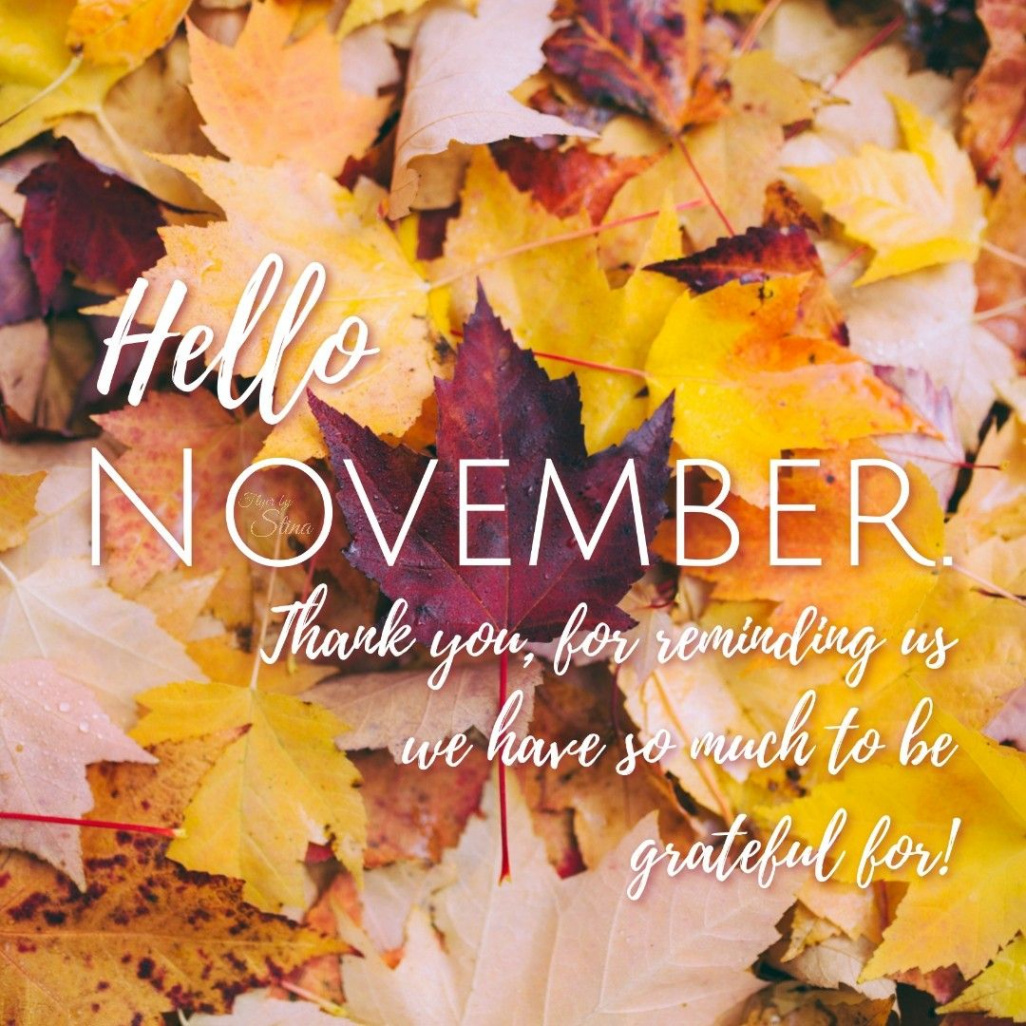 Hello November  Hello november, Writing inspiration, Instagram photo