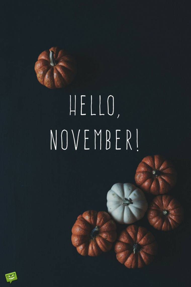 Hello November - iPhone Wallpaper  #Autumn #November #Fall