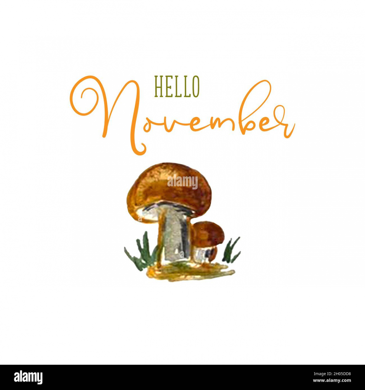 Hello November vector sketch mushroom watercolor hand drawing