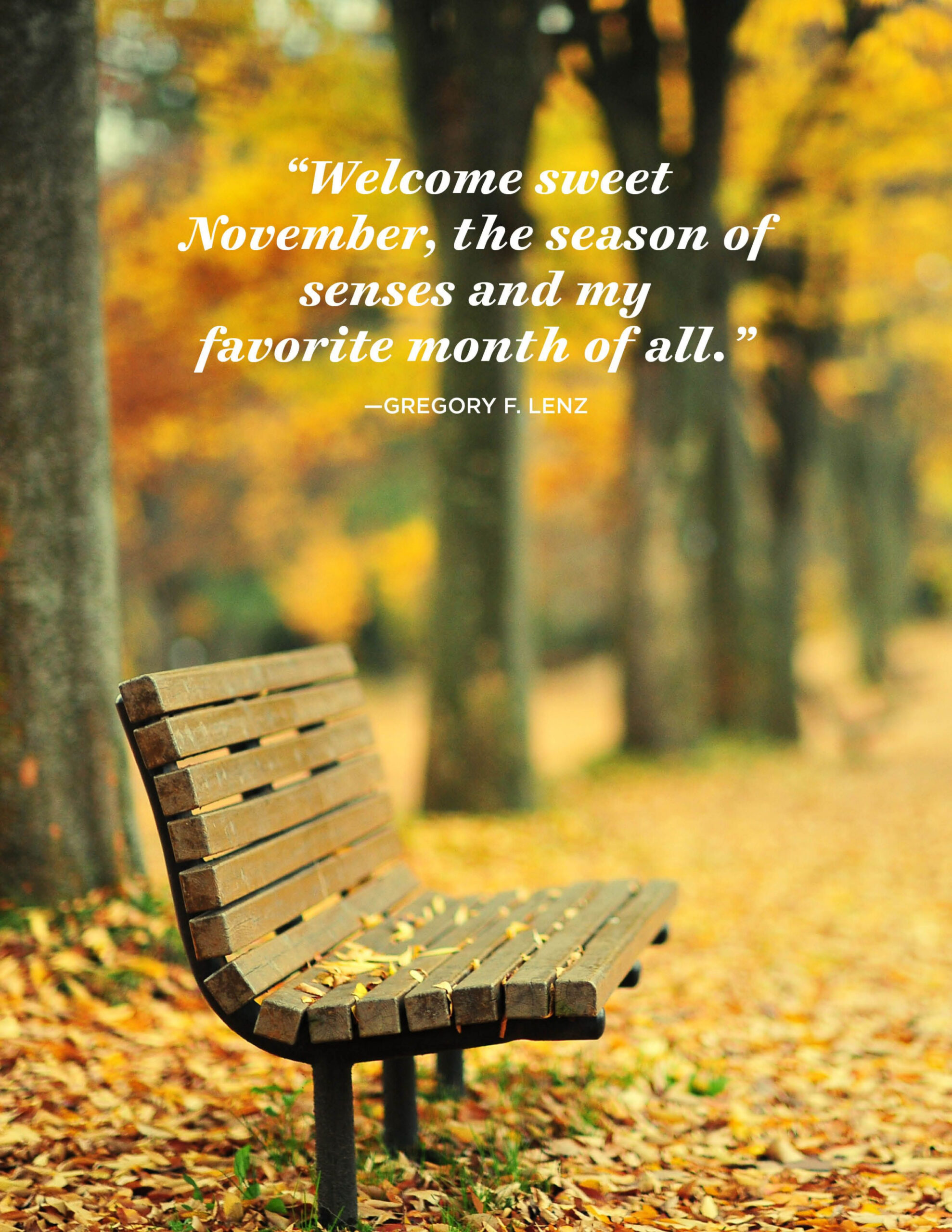 Inspiring November Quotes - Famous Sayings and Quotes about