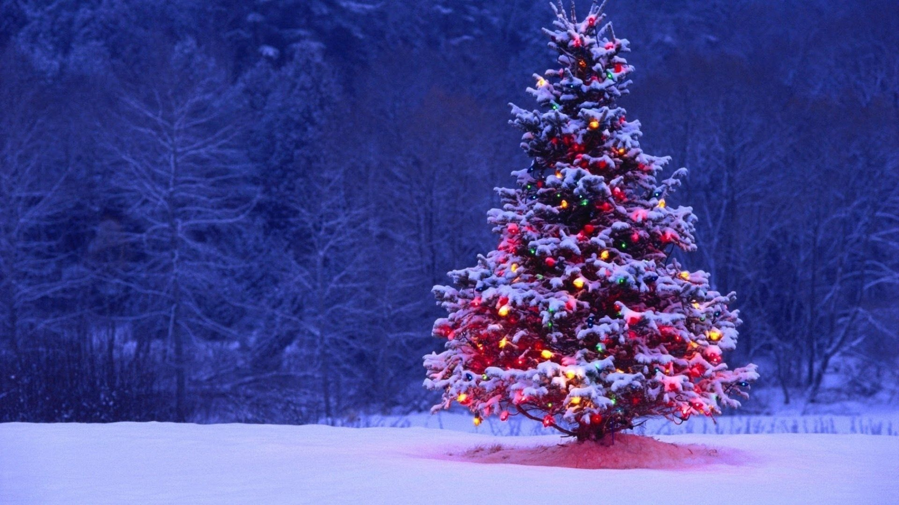 Latest Christmas Tree Wall Paper FULL HD 80p For PC