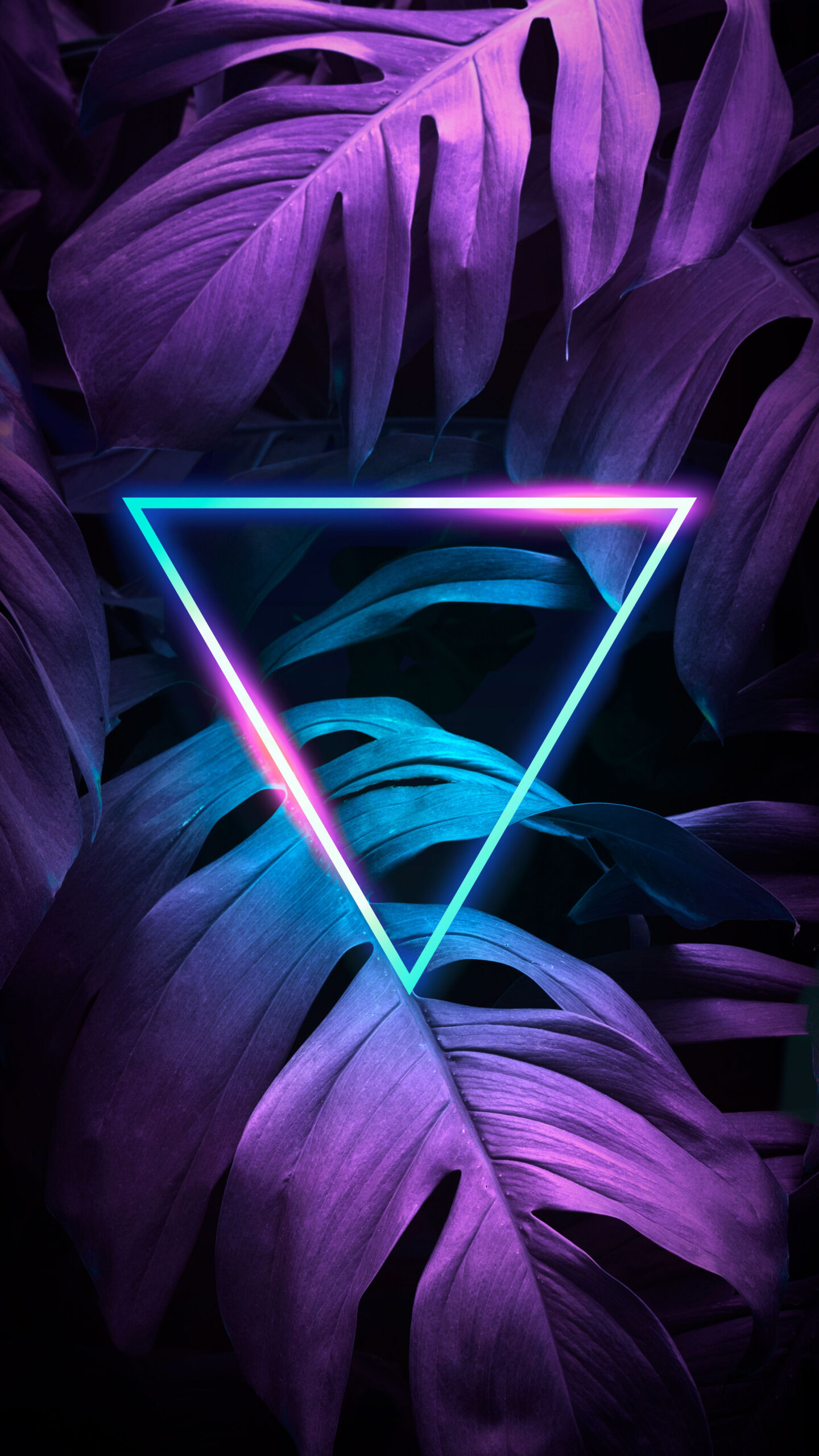 Neon Triangle  Neon light wallpaper, Neon wallpaper, Iphone wallpaper