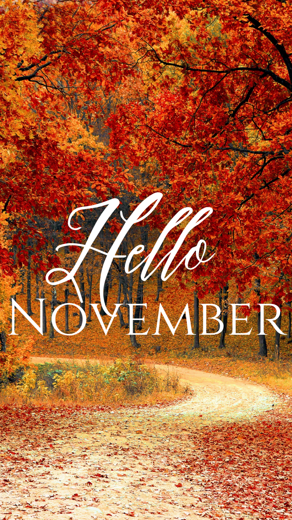 November! My birth month