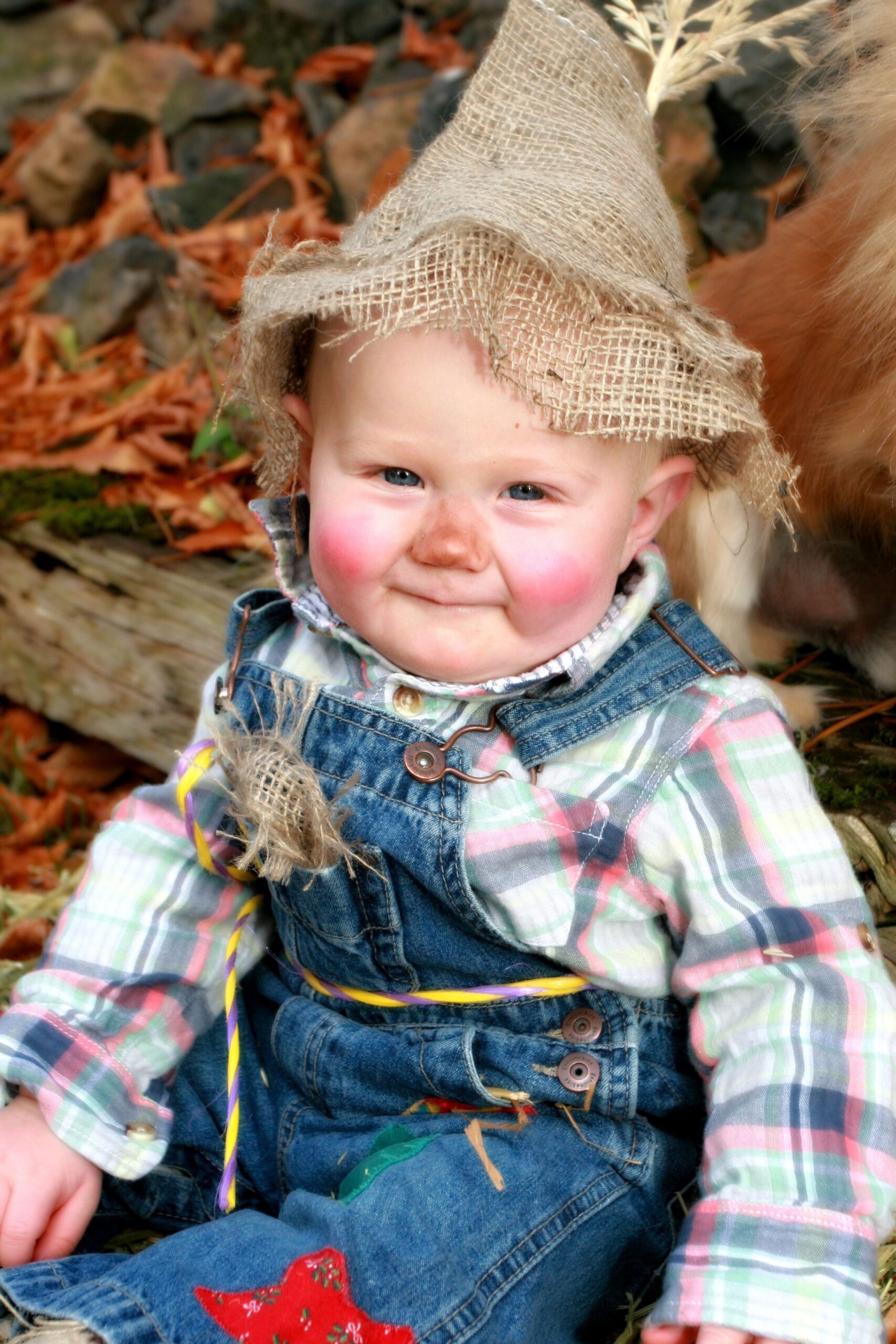 Pin on Halloween costume - Wizard of Oz Scarecrow