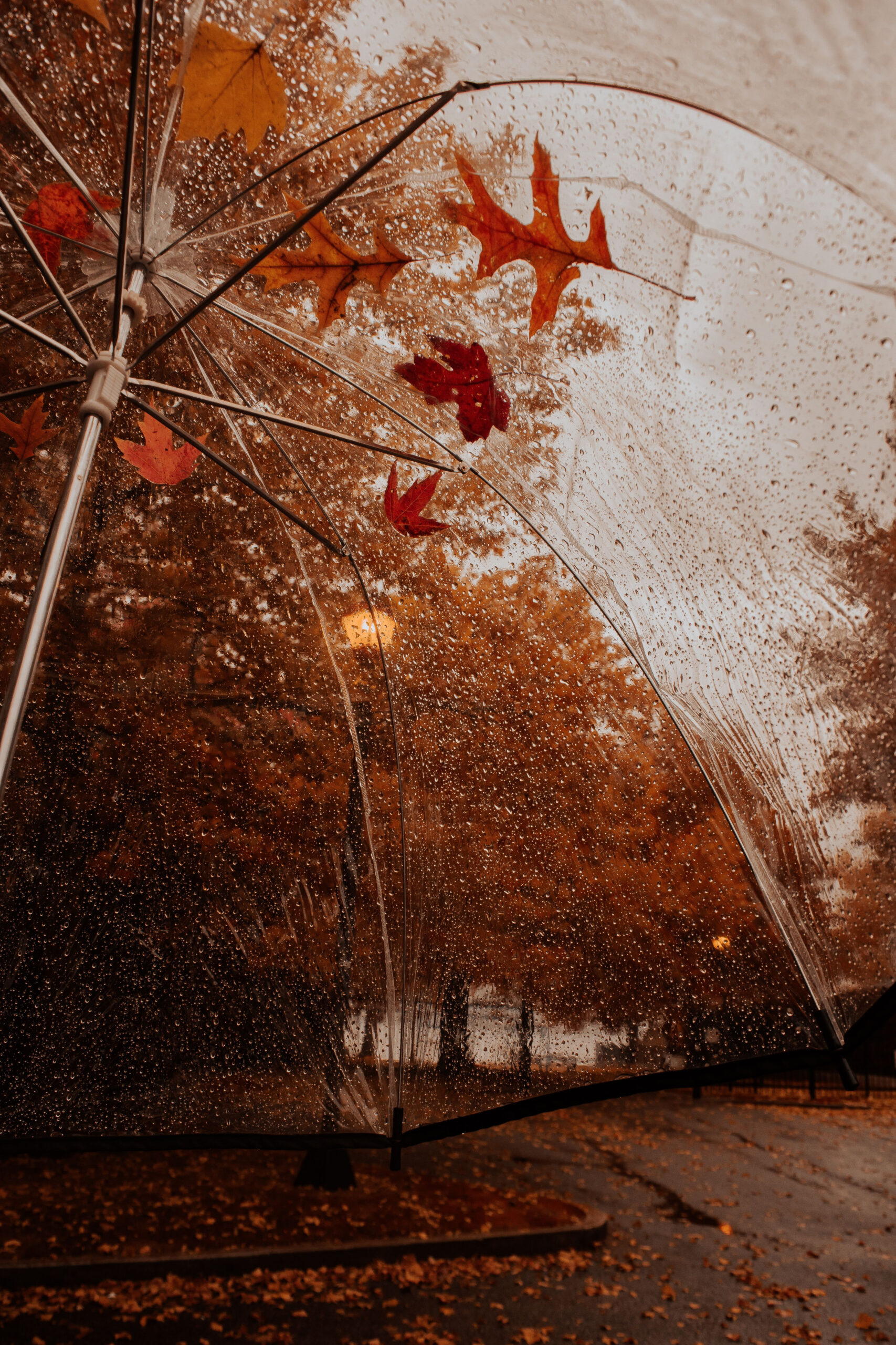 Rainy fall day  Fall wallpaper, Free fall wallpaper, Autumn