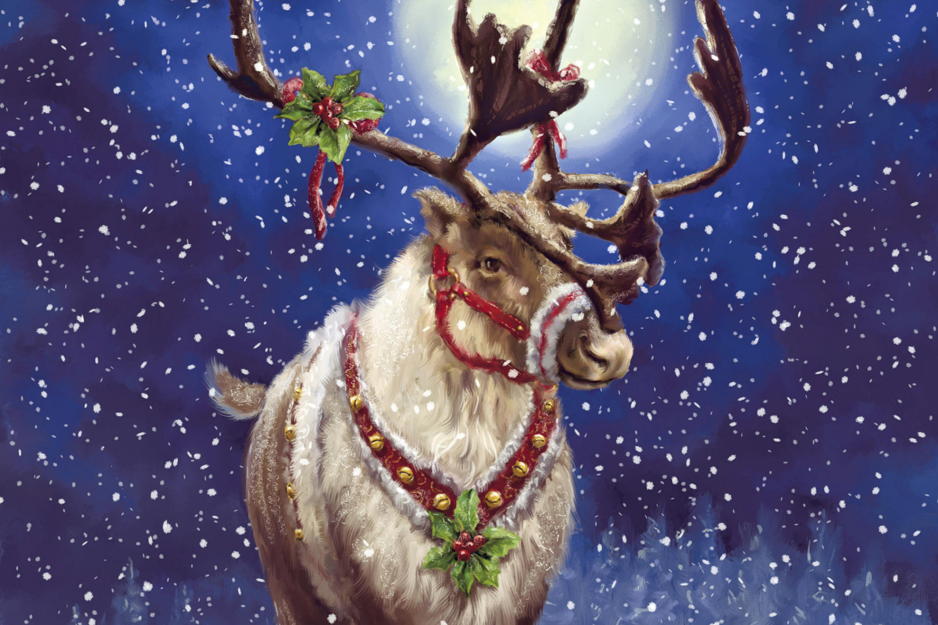 + Reindeer HD Wallpapers and Backgrounds