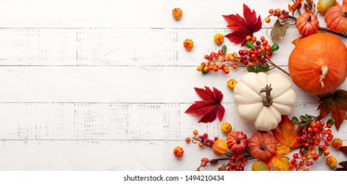 , Thanksgiving Background Images, Stock Photos, D objects