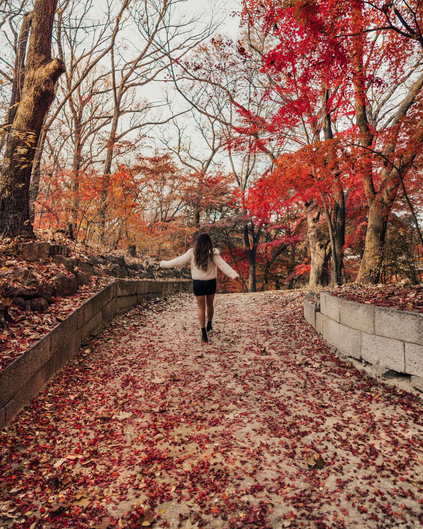 The Instagrammable Guide to Fall Leaves in Seoul, Korea  Away Lands