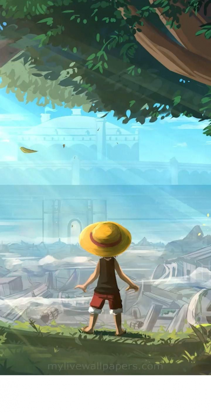 Top  one piece wallpaper k ideas and inspiration