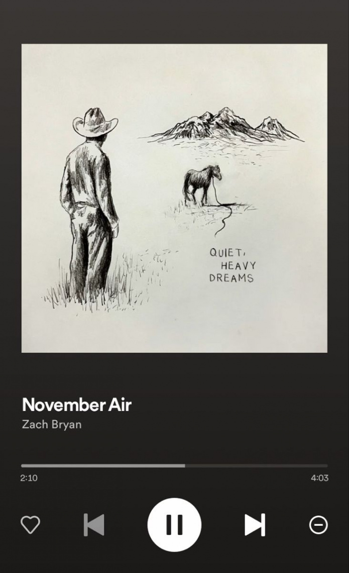 zach bryan zach bryan zach bryan 🫶  Travel dreams, Bryan, Songs