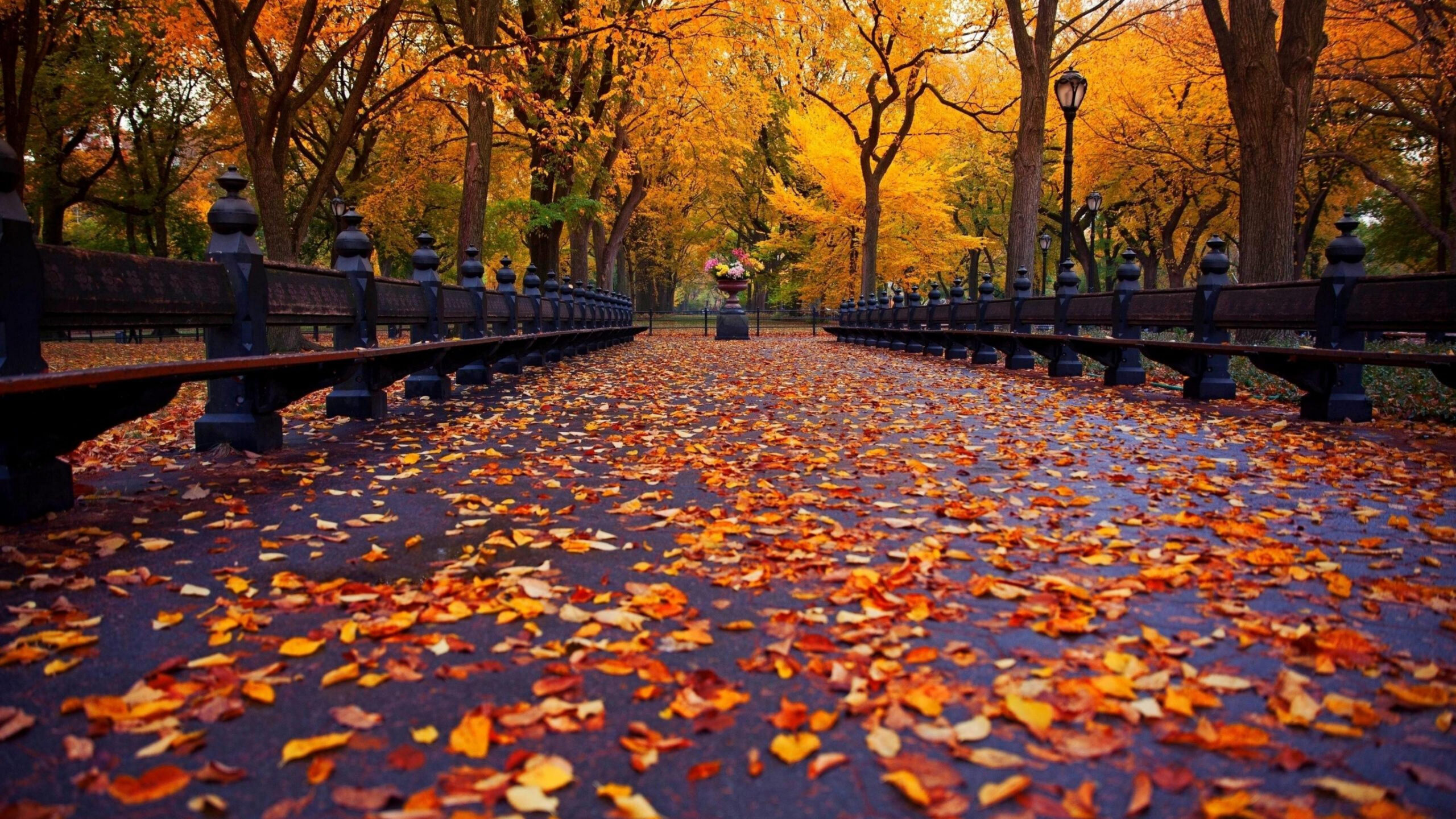 Aesthetic Laptop Autumn Wallpapers - Wallpaper Cave