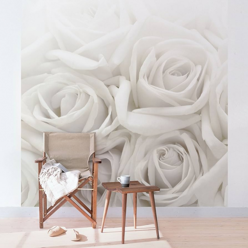 Apalis Rose Wallpaper - Non-Woven Wallpaper - White Roses - Flower