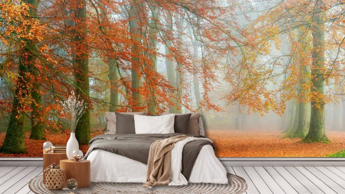 Autumn Season Wallpaper  About Murals