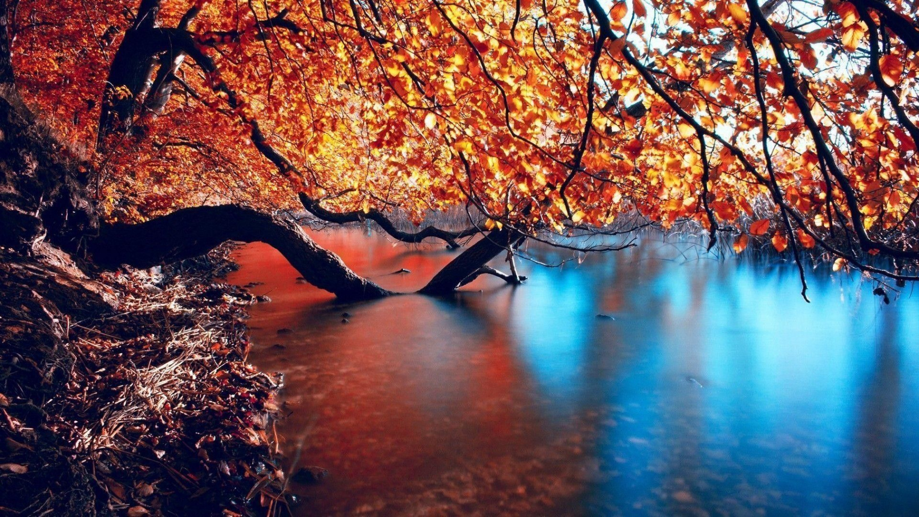 Autumn x Wallpapers - Wallpaper Cave