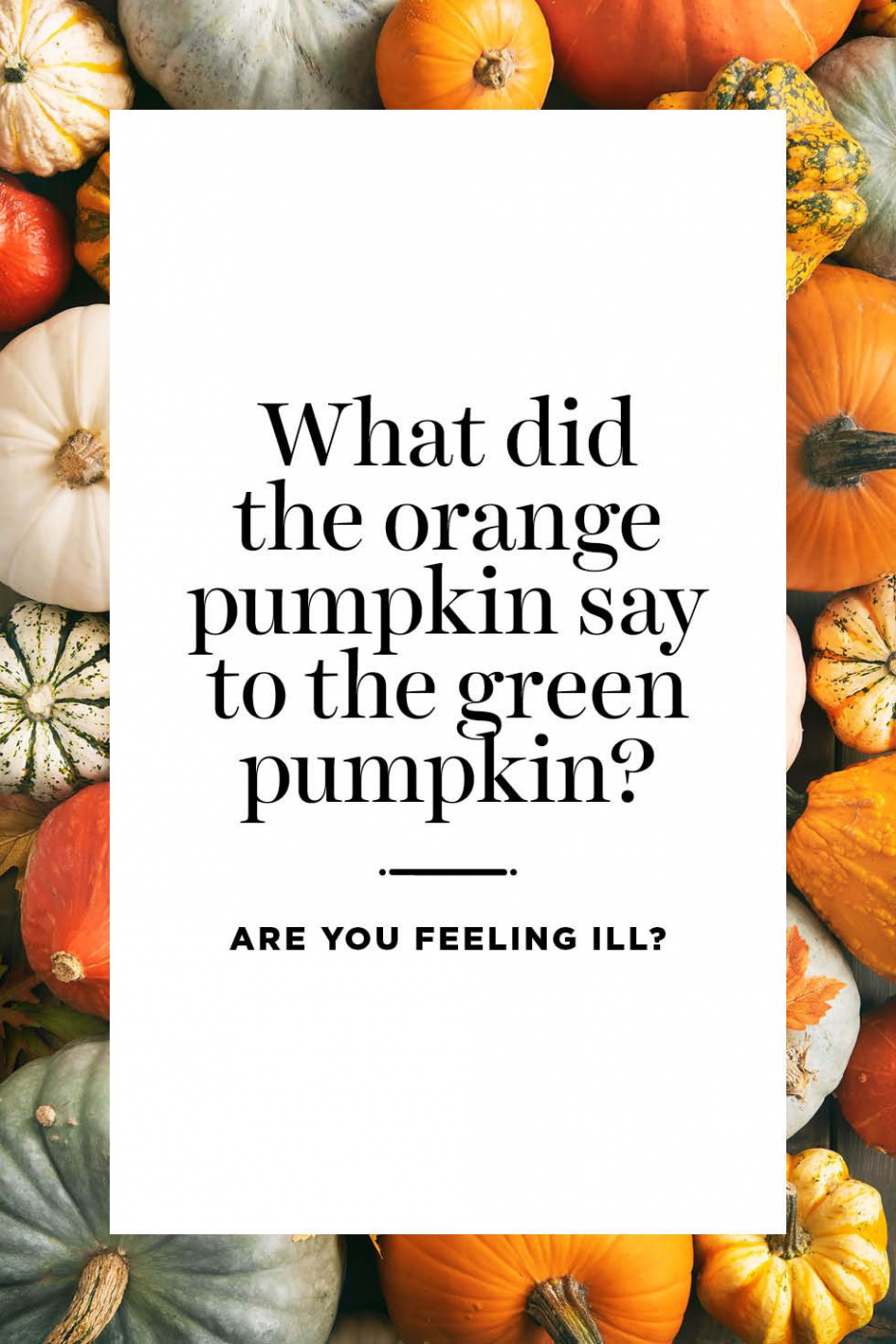 Best Pumpkin Quotes and Puns - Pumpkin Sayings for Instagram