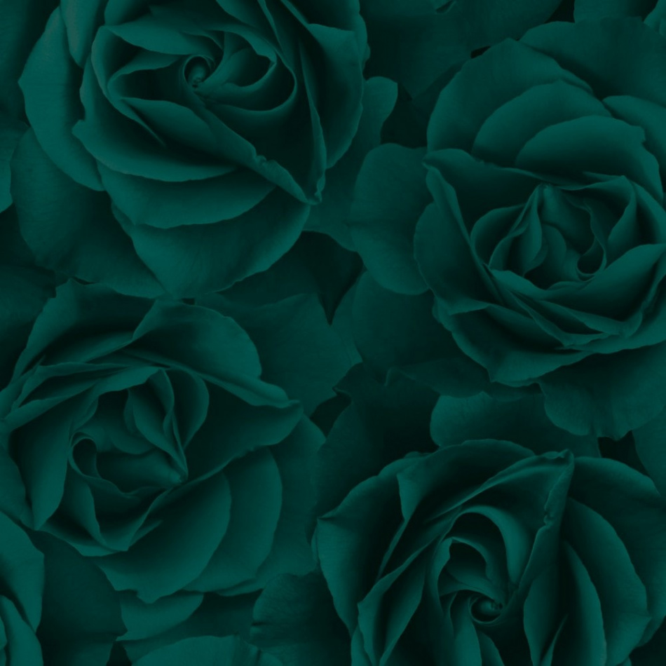 Big Rose Wallpaper in Emerald