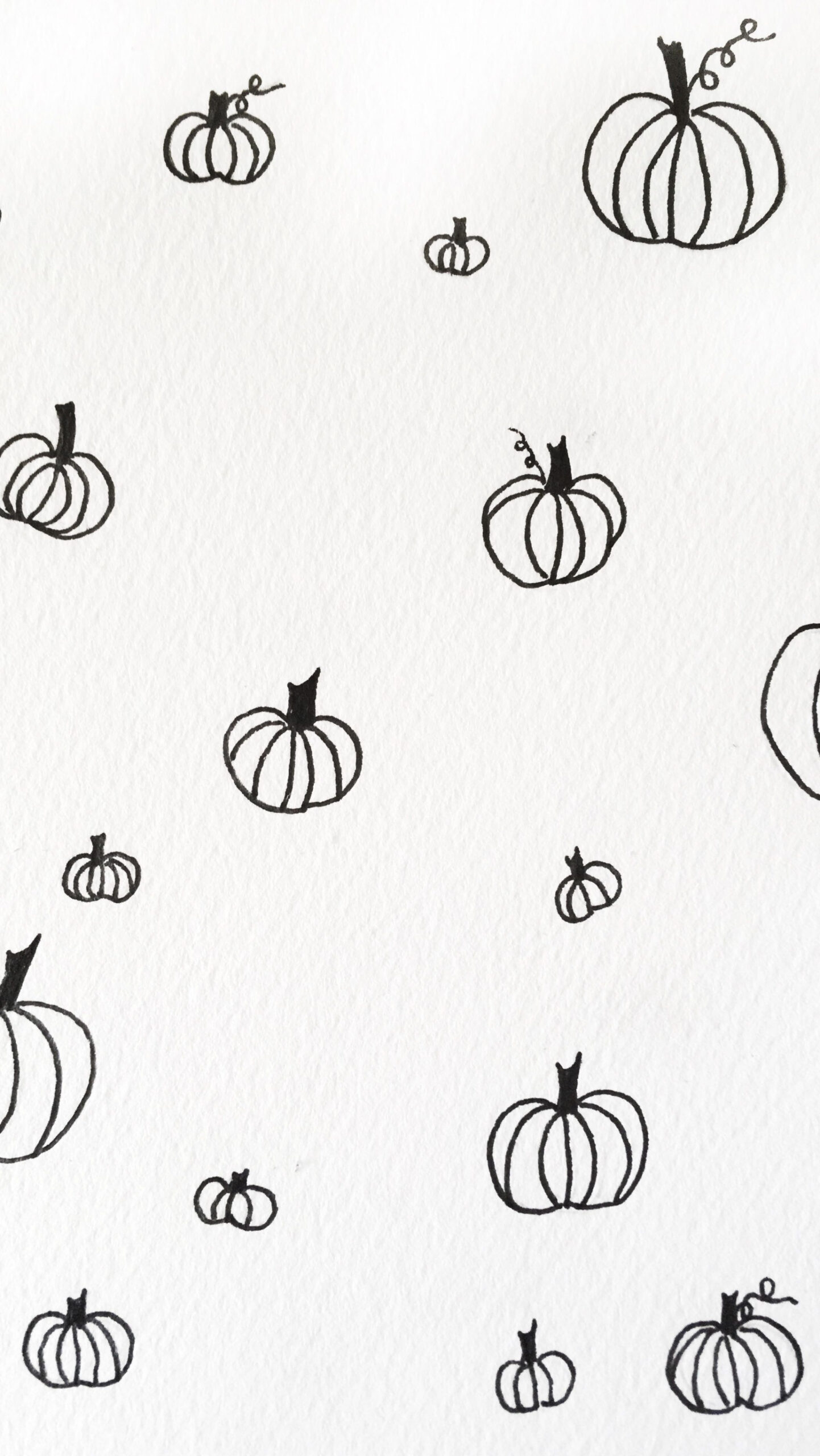 Black and white pumpkin iPhone watercolor wallpaper  Watercolor