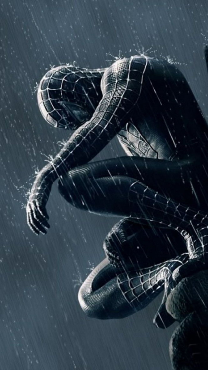 Black Spider-Man HD Wallpaper  Spiderman pictures, Black