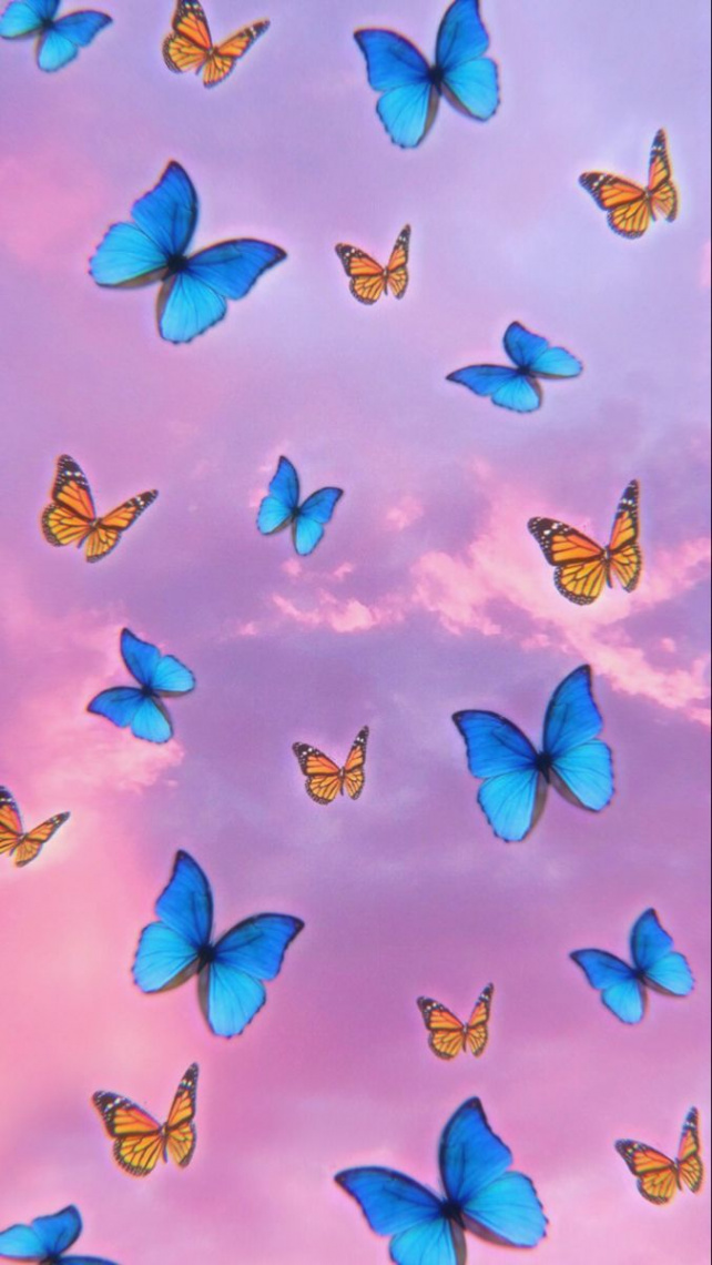 Butterfly Lock screen  Butterfly wallpaper, Butterfly wallpaper