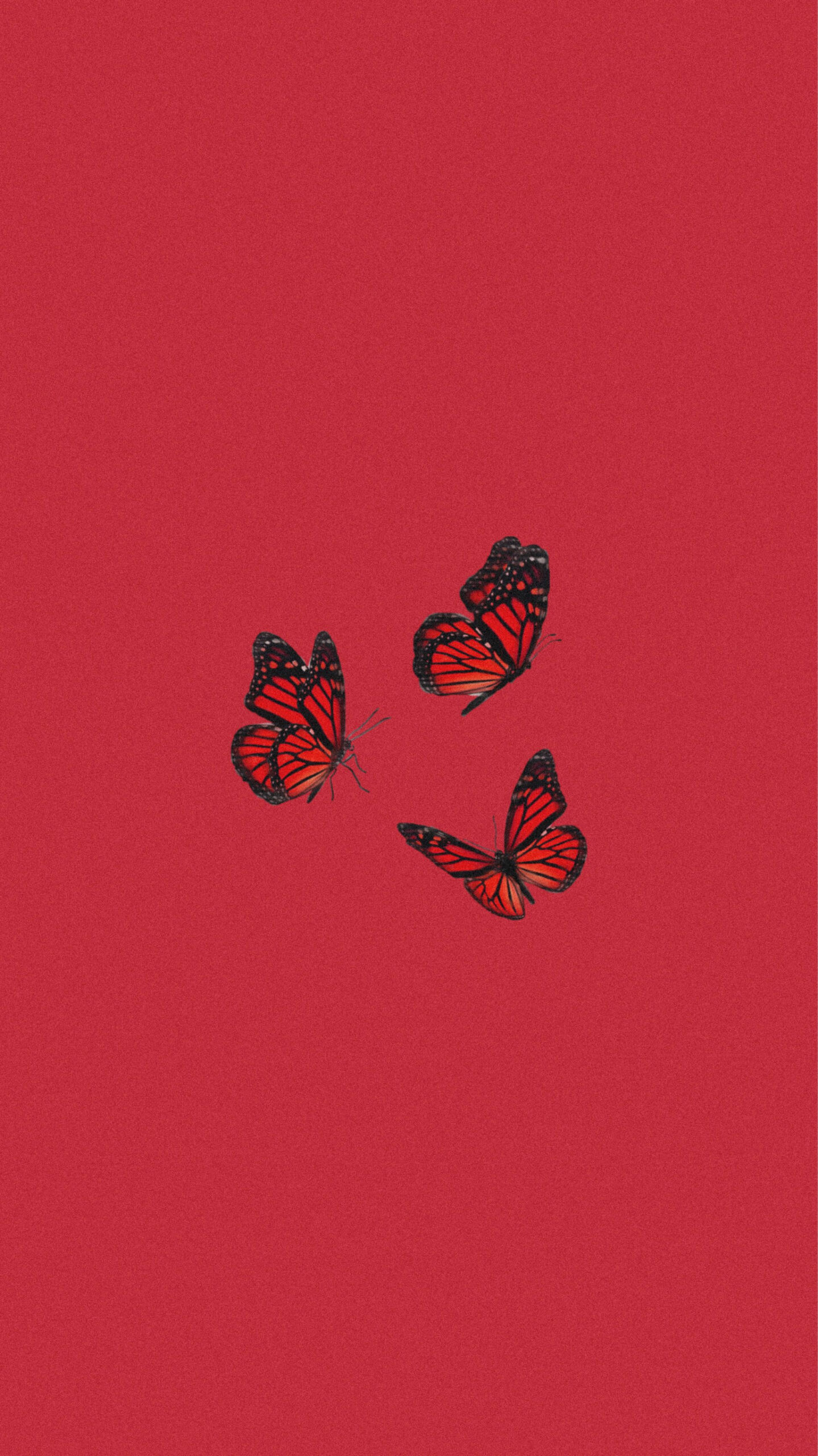 butterfly wallpaper  Butterfly wallpaper iphone, Iphone wallpaper