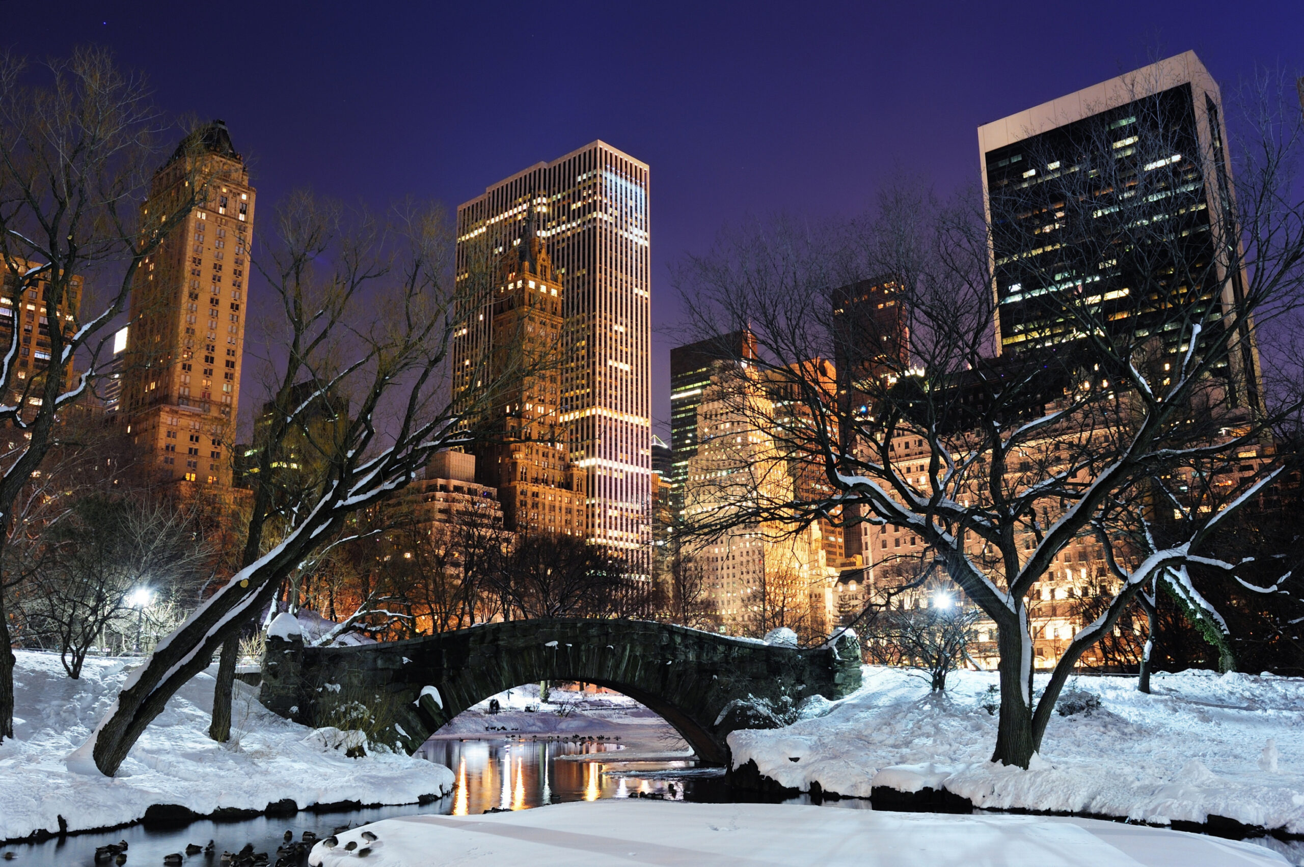 Central Park in Winter Wall Mural - Murals Your Way