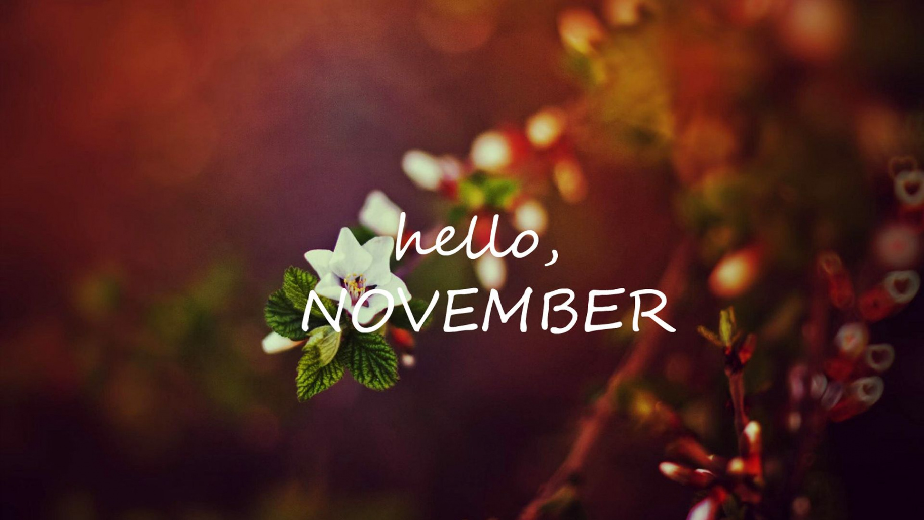 Check the best collection of Hello November HD Wallpapers for