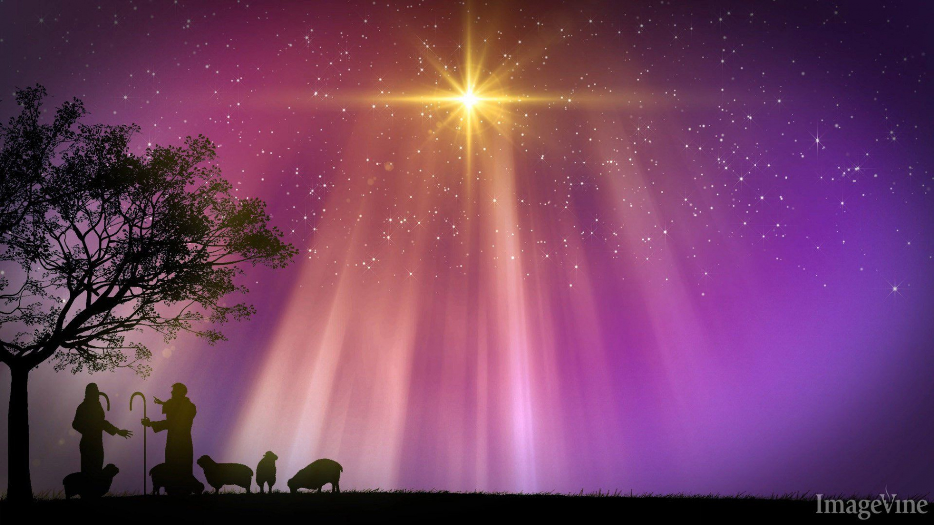 christian christmas powerpoint backgrounds, shepherds, nativity