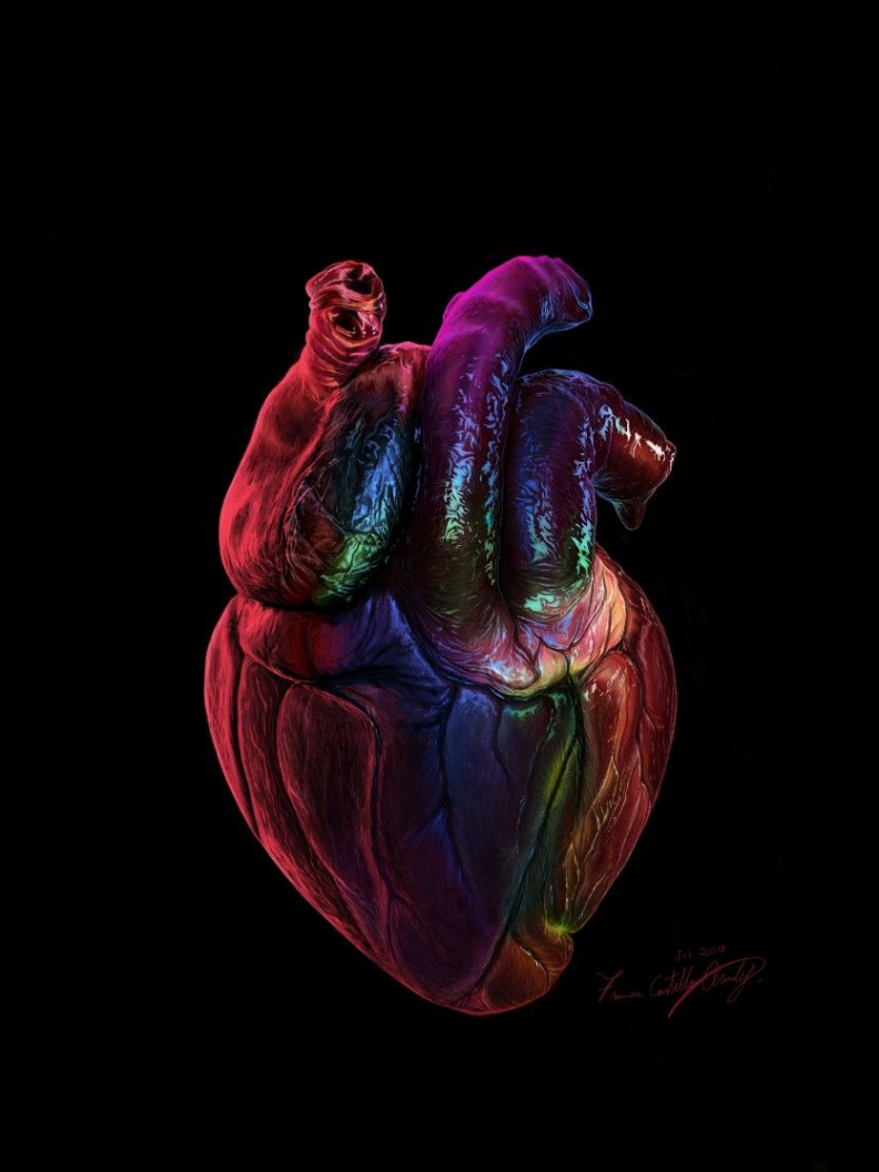 Colorful human heart digital drawing  Cool heart drawings, Human