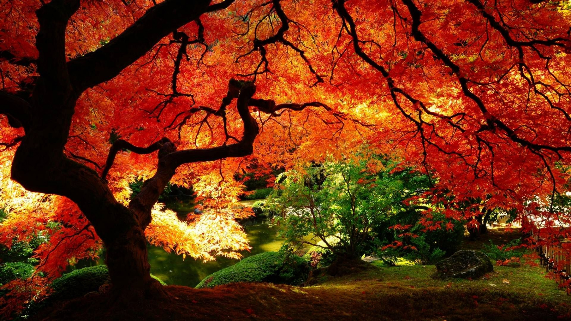 d Fall Wallpapers - Wallpaper Cave  Autumn scenery, Autumn