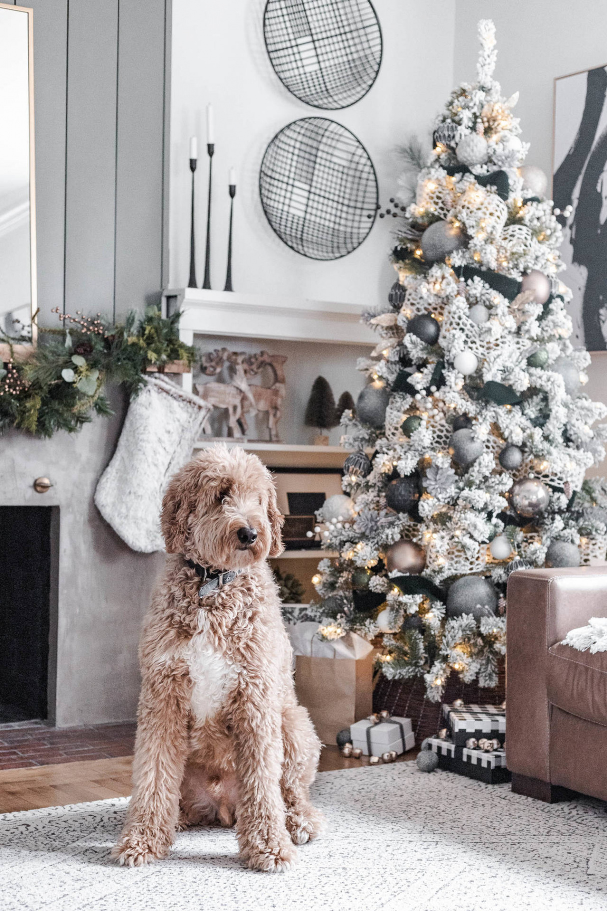 Download Cozy Christmas Aesthetic Cute Dog Wallpaper  Wallpapers