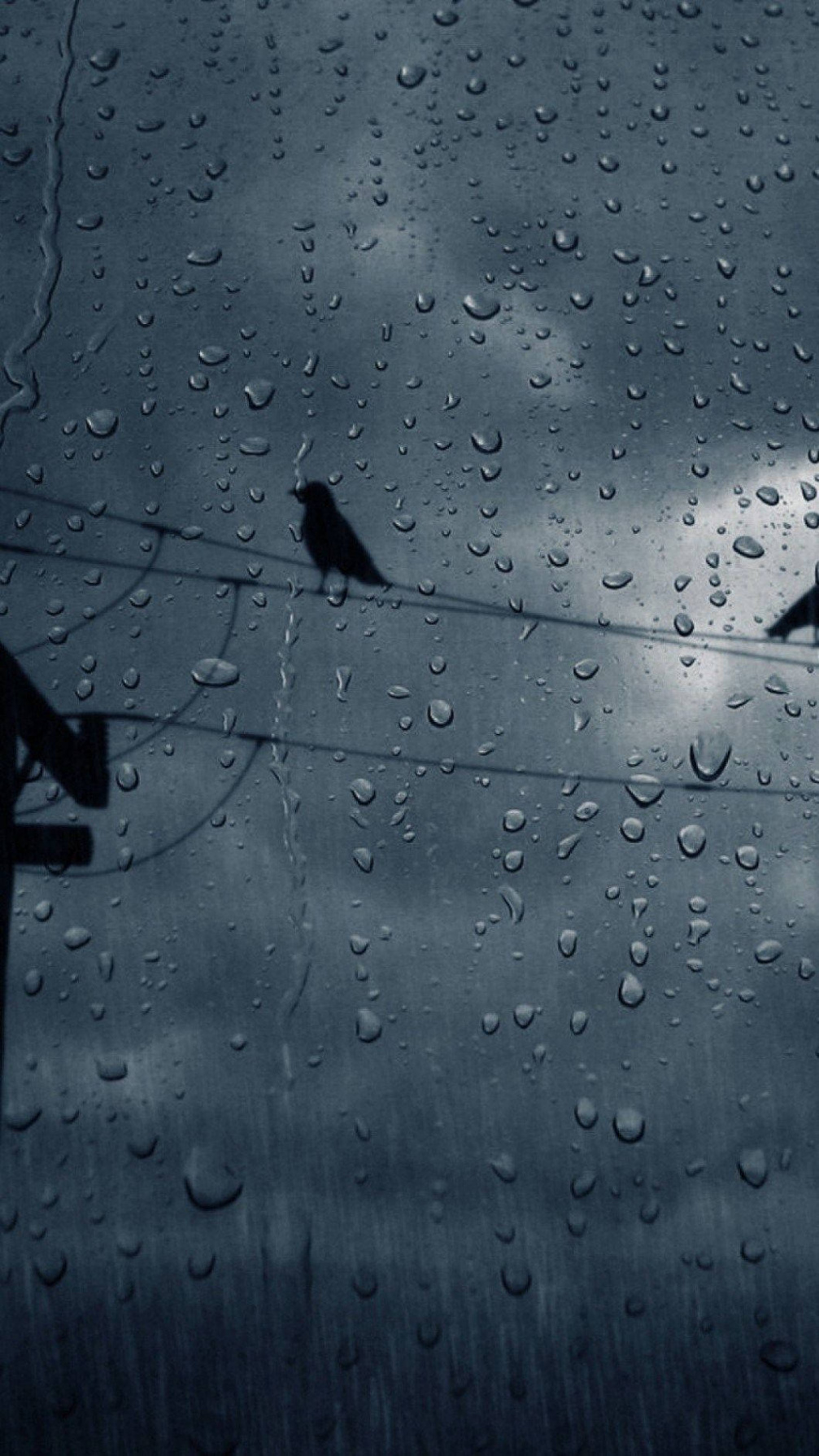 Download Gloomy Yet Beautiful Rain Phone Wallpaper  Wallpapers