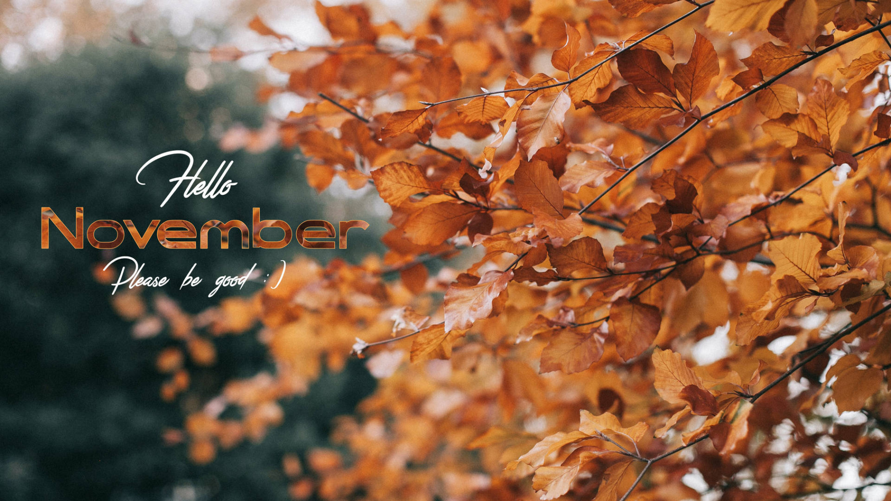 Download Hello November Please Be Good Wallpaper  Wallpapers