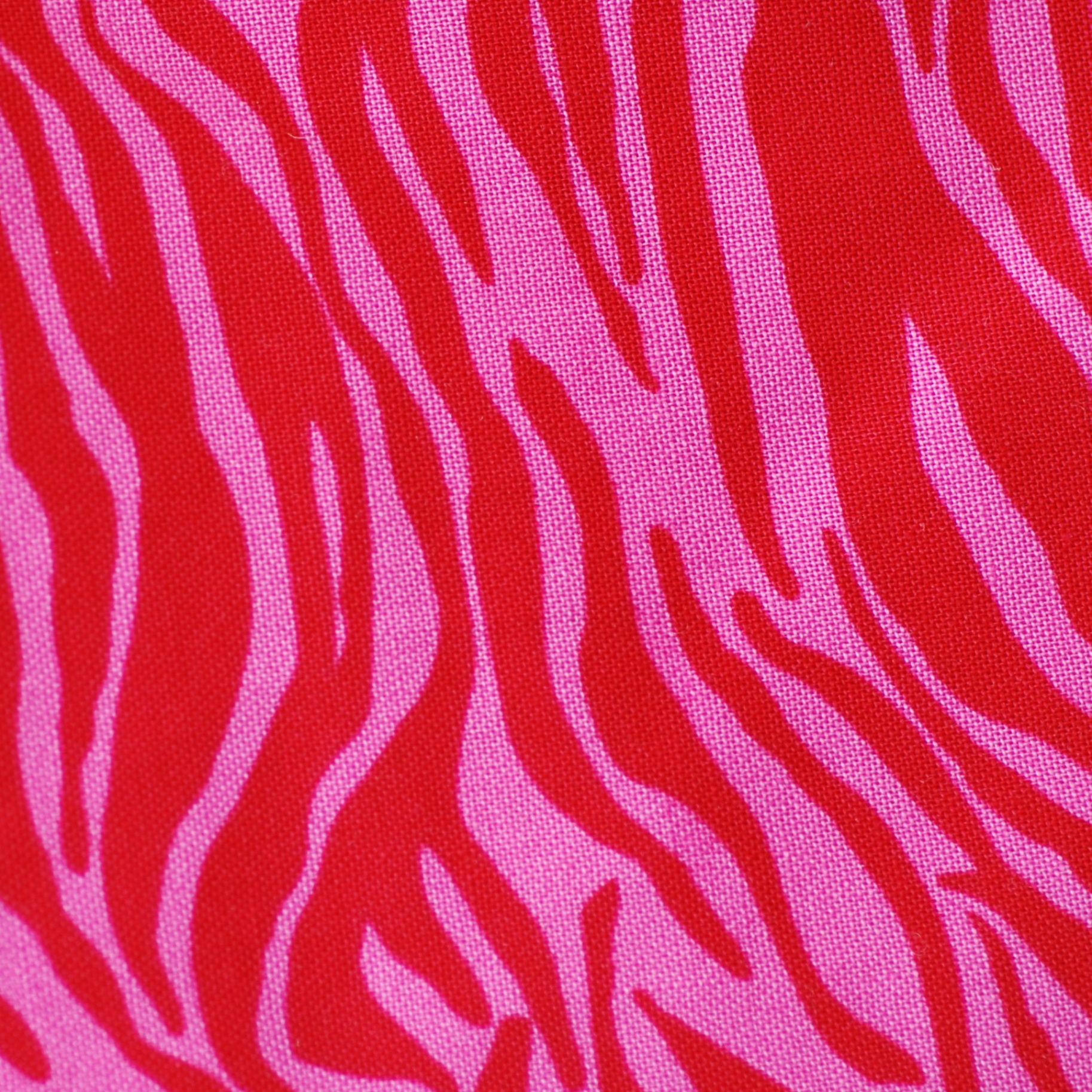 Fabric B Hot Pink & Red Zebra Print  Zebra wallpaper, Pink